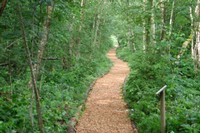 Tourbière du Crêt