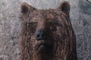 Un Ours sculpté