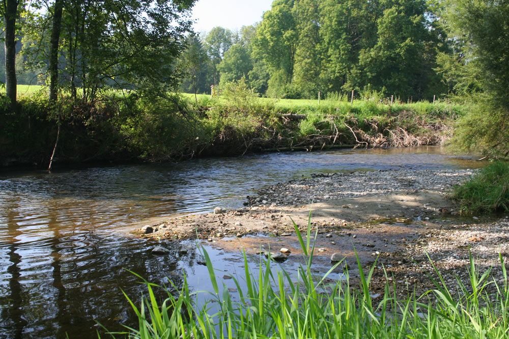 Rivière de la Neirigue