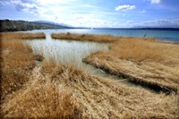 Pointe-à-la-bise