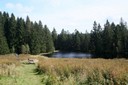 Etang de la Gruère