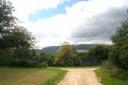 Chemin agricole