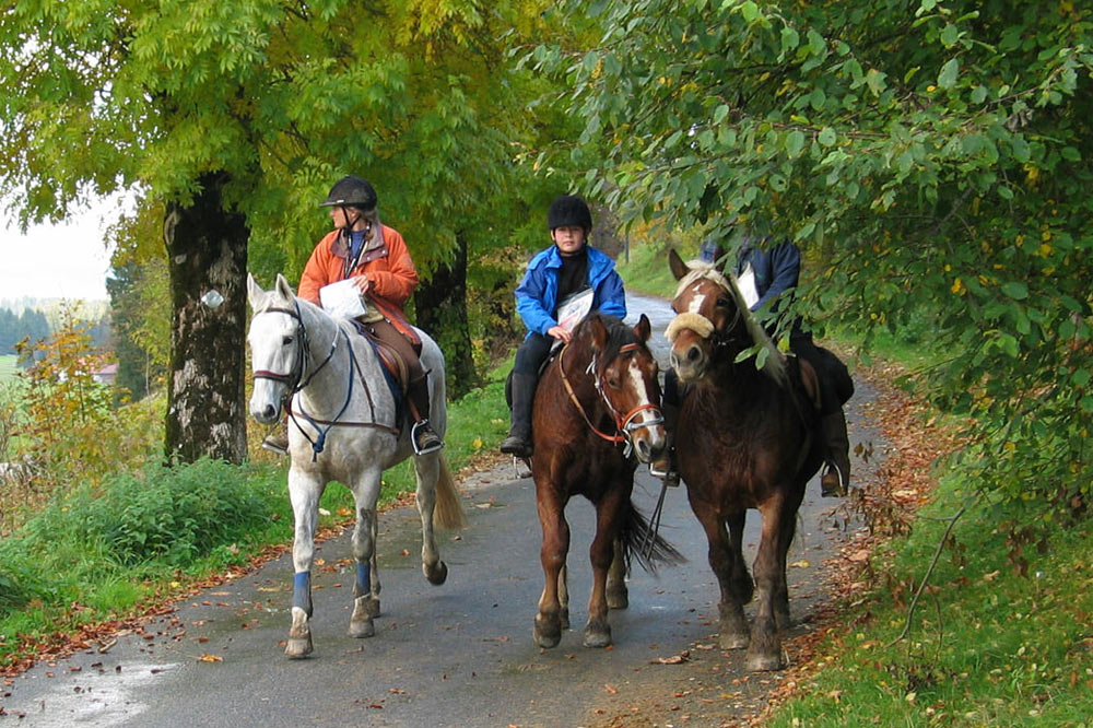Promenade à cheval