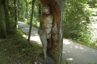 Homo erectus