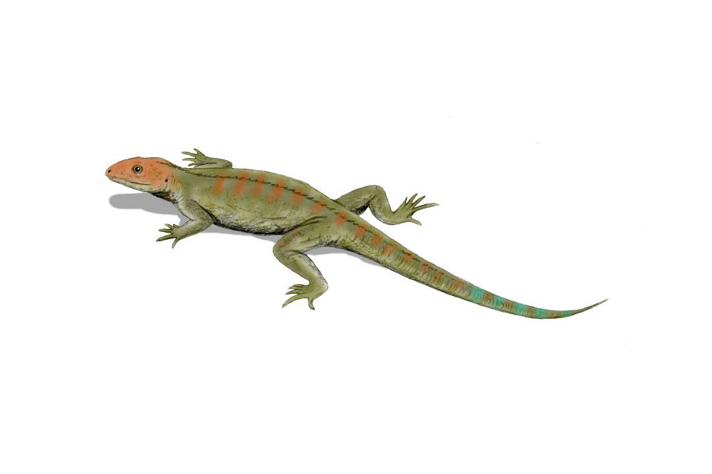 Hylonomus