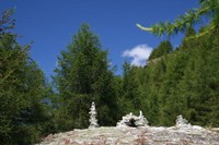 Cairns