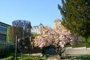 Les jardins de l'Opéra de Lausanne
