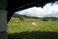 Le sentier des alpages