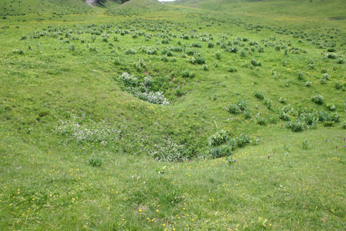 Formation d'ouvala